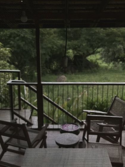 A quiet veranda space overlooking a green landscape. This image evokes the feeling of peace and connection to nature that I strive for in my designs.