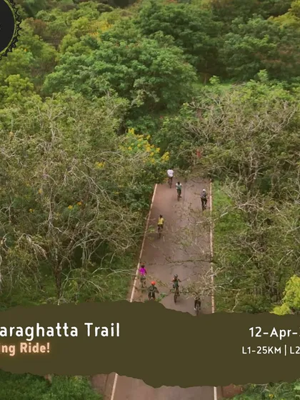 This promotional image for our 'Hesaraghatta Trail' evening ride captures the beauty of cycling under a lush green canopy, a perfect escape from the city.