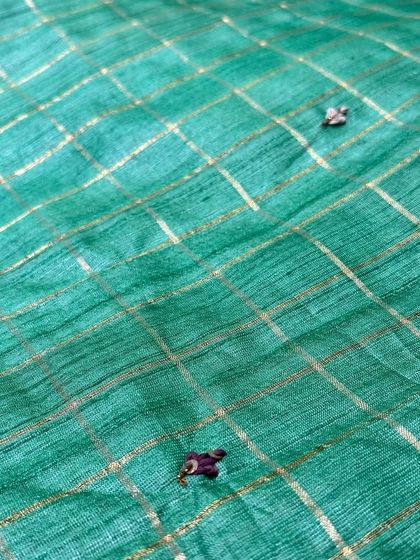 Mansi by Sudha Kumar - Curated Ethnic Apparel & Accessories Light & Breezy Drapes photo 6