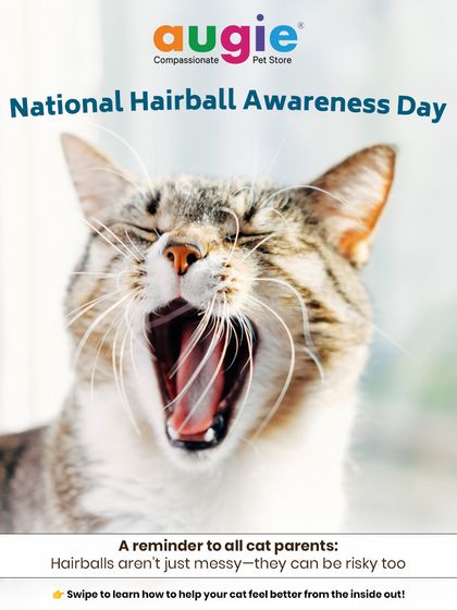 Augie Pets - Pet Grooming Services Seasonal & Health Care Guides photo 17