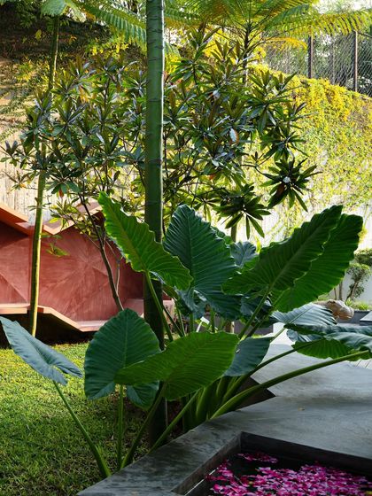 A close-up of the red sculptural bench, with large tropical leaves in the foreground. The image highlights the contrast between the sharp, geometric lines of the bench and the organic shapes of the plants.