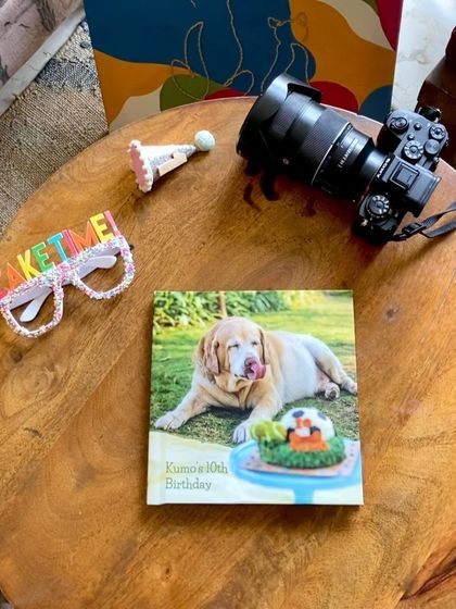 Pawparazzi By Prathima - Pet Milestone Photography Senior Tributes & Golden Years photo 6