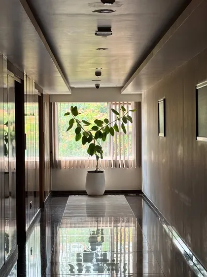 Sometimes, a single plant is all it takes to transform a space. This Ficus plant, placed thoughtfully at the end of a hotel corridor, creates a moment of calm and natural beauty, proving that landscaping is about creating harmony in every corner.