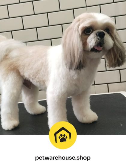 Pet Warehouse - Pet Grooming Services Happy Tails Gallery photo 5