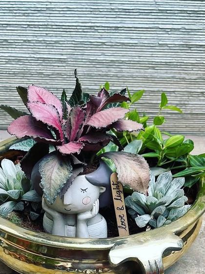 Succulent & Cactus Arrangements photo 14