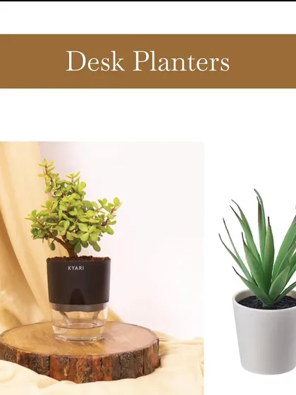 A great way to upgrade employee onboarding kits. This image shows trendy desk planters that can be included to add a touch of green and style to a new team member's workspace.