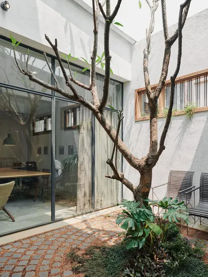 Our office courtyard, with its central frangipani tree, is an urban oasis. It brings light and nature into the heart of the studio and serves as a welcome spot for team lunches and breakout moments.