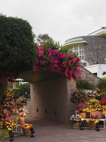 The Wedding Square - Wedding Design & Styling Vibrant Pre-Wedding Celebrations photo 66