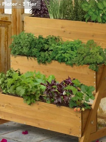 Garden of Joy - Balcony & Terrace Gardens Creative Plant Displays photo 9