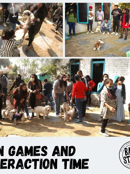 Fun games and interaction time! A collage from our Barkfleet 2023 event, showing all the activities we have for our furry guests.