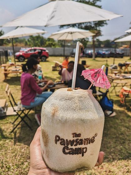 The Pawsome Camp - Dog Park & Pool Relax & Recharge: The Think Pawsitive Cafe photo 7