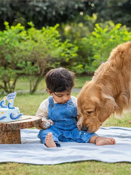 A tender moment where Ollie the Golden Retriever gently licks cake from baby Aariv's fingers. It’s a perfect example of the sweet and messy moments I love to capture.