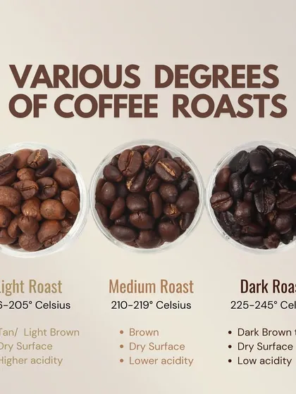 An infographic showing various degrees of coffee roasts: light, medium, and dark, with their corresponding temperatures and characteristics.
