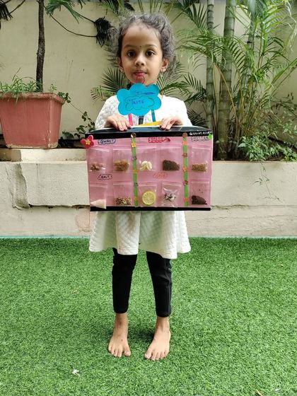 Purple Asters - Preschool & Daycare Learning Through Play photo 25