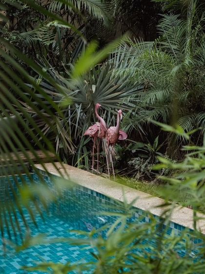 A glimpse of the private pool area of a villa, complete with whimsical flamingo statues and surrounded by tropical plants.