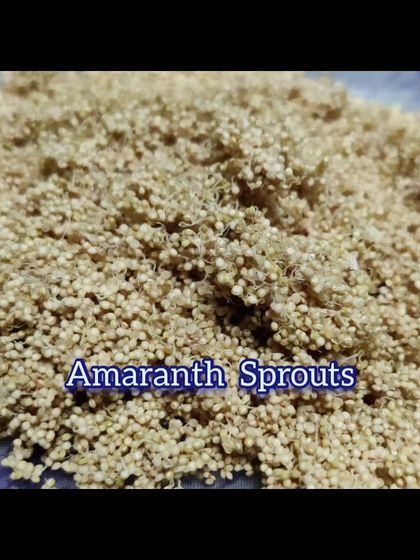 Neha Bhardwaj - Clinical Nutrition for Disease Management Food as Medicine: Know Your Ingredients photo 30