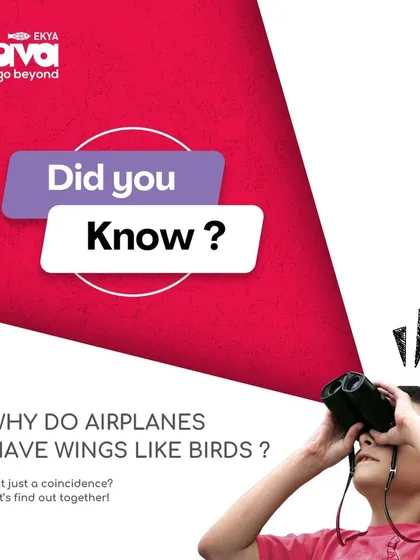 "Why do airplanes have wings like birds?" This post uses a child's simple question to illustrate how I encourage curiosity at Ekya Nava, connecting everyday observations to science, nature, and innovation.