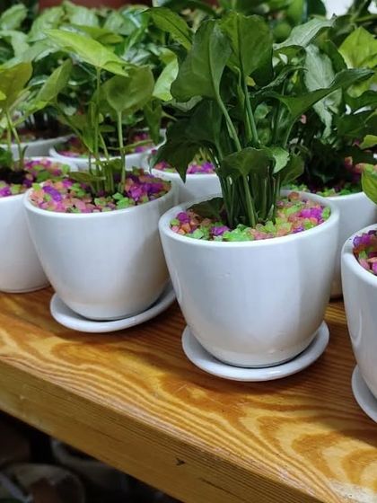 Gifts for Every Occasion photo 14