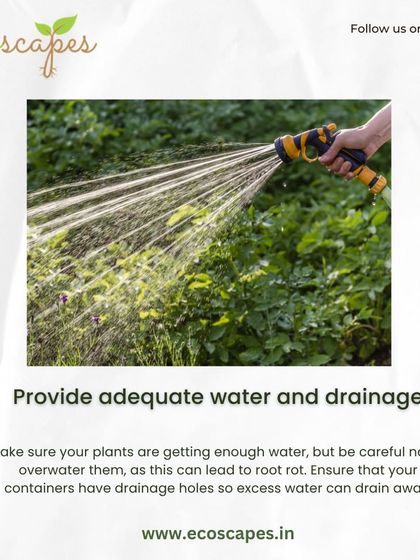 Ecoscapes Landscaping - Urban Gardening & Green Walls Urban Gardening Guides photo 10