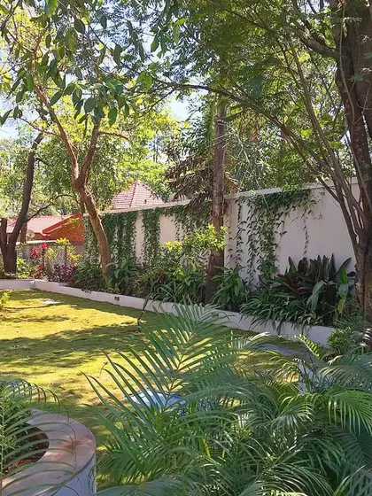 Another angle of the Khandala project, showcasing the mature trees and layered planting beds that provide depth and texture to the garden. We believe a garden should look beautiful from every viewpoint.