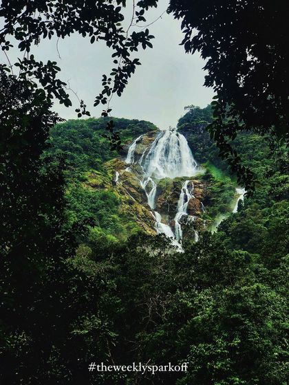 A beautiful, framed shot of Dudhsagar falls through the trees, capturing its grandeur.