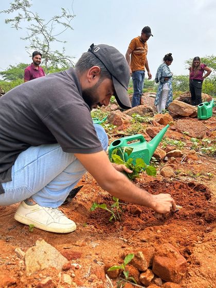 A volunteer from Beumer Group carefully plants a sapling, his focused effort contributing to the restoration of this challenging landscape.
