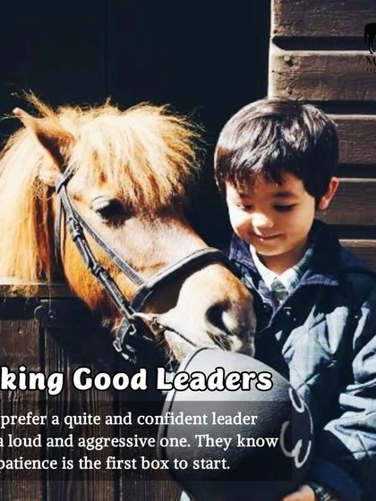 Horses teach us that the most effective leaders are often quiet and confident, not loud and aggressive. They show us that patience is the starting point for building the trust required to lead.