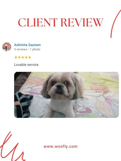 Woofly - At-Home Pet Grooming What Pet Parents Are Saying photo 10