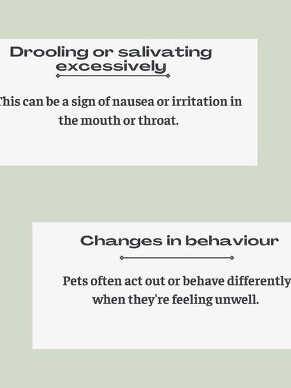 Furever Safe - Pet Boarding & Day Care Pet Parent Resources photo 13