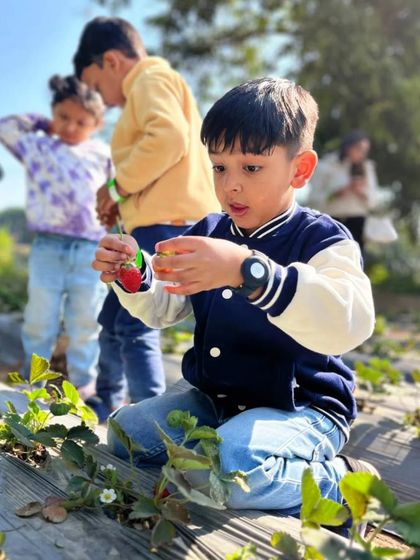 Farmus - Farm Day Out Experience The Joy of the Harvest photo 19