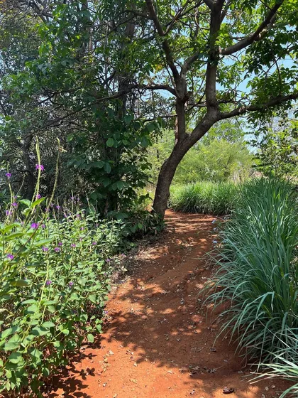 Sometimes, the most beautiful landscapes require the lightest touch. On this hillside property in Pawna, I carved a simple trail from the natural red earth, lined with native grasses, allowing the existing trees and the natural beauty of the forest to remain the main focus.