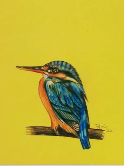 A beautiful kingfisher drawn with color pencils on a bright yellow background.