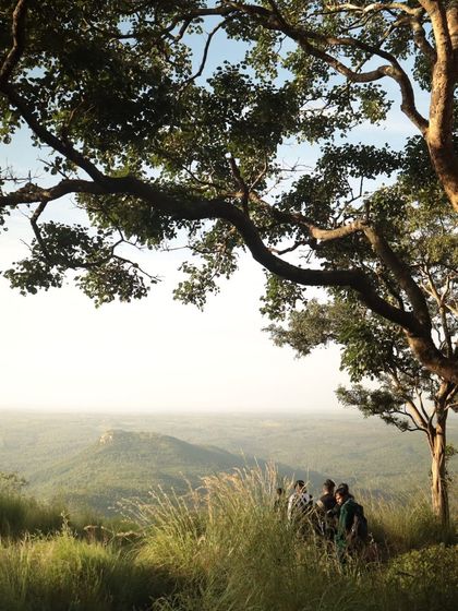 A serene moment under a tree at the Makalidurga peak, taking in the vast expanse.