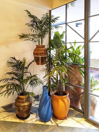 Even the most common houseplants can bring a space to life when styled correctly. In this restaurant corner, we used a mix of plants with colorful pots and a planter stand to create a charming and pretty vignette.