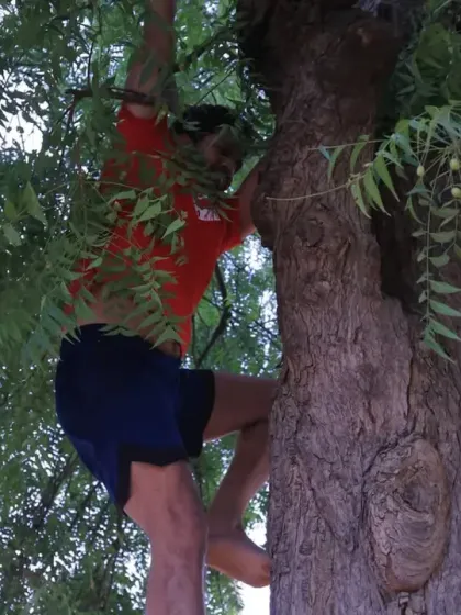 Conquering new heights. A participant climbs a tree as part of a drill in our Coach's Fitness Challenge, building upper body strength and confidence.