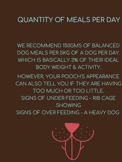 Hungry Eyes - Freshly Cooked Dog Meals Empowering Pet Parents photo 26