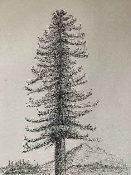 Fine Arts Gurukul - Children's Art Classes The Art of Drawing photo 3