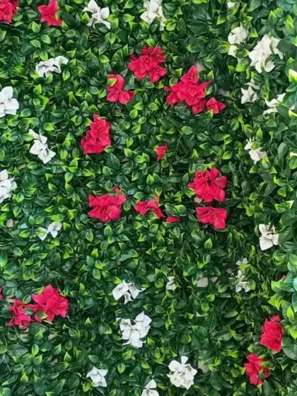 An artificial green wall decorated with red and white flowers. This type of floral green wall is perfect for adding a festive or celebratory feel to a space.