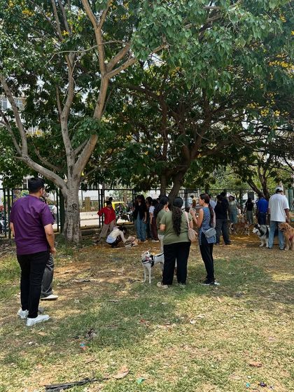 Oh My Dawg - Animal Welfare & Adoption Services Our Adoption Drives photo 8