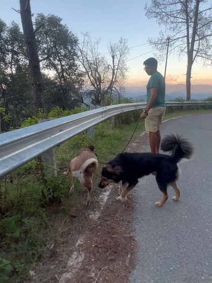 Walks are for making new friends, like this roadside meet-and-greet in the hills.