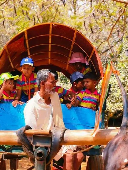 Learning at BIA extends far beyond the classroom walls. Our preschoolers enjoy a traditional bullock cart ride during a field trip to Jain Farm, an experience that connects them with nature and our cultural roots in a joyful, memorable way.