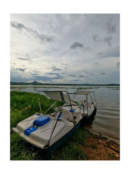 Our pedal boats waiting by the shore, ready for a leisurely ride on the lake. They are perfect for a relaxed pace.