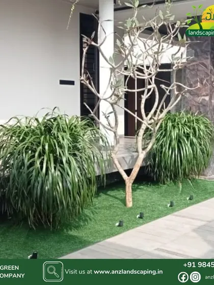 This modern entrance design uses low-maintenance artificial turf, striking ornamental grasses, and a leafless Frangipani tree to create a minimalist yet impactful look.