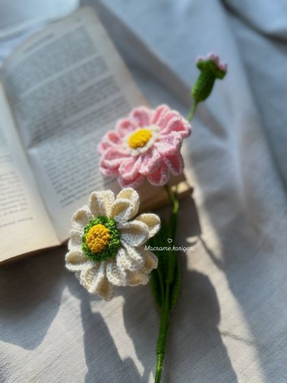 Two of our Zianna flower stems resting on an open book, highlighting their delicate and artistic nature.