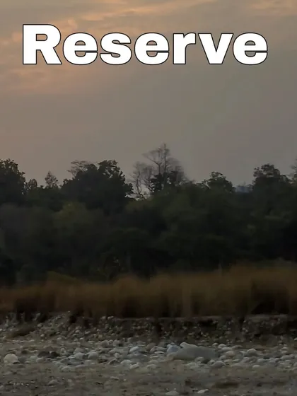 The expansive and wild landscape of Rajaji Tiger Reserve, showing the diverse habitat that supports its rich wildlife.