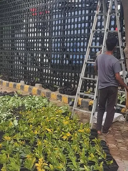 A closer look at our crew working on the vertical garden framework, showing the technical skill required for a secure and lasting installation.