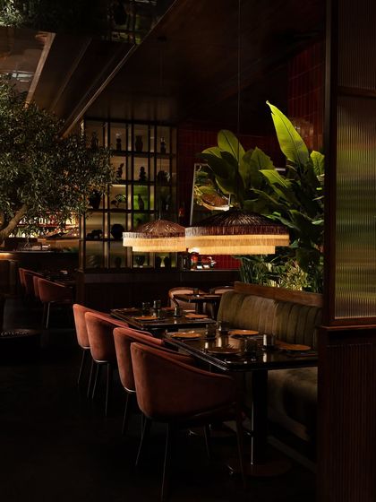 Hikki: A Symphony of Amber and Olive photo 6