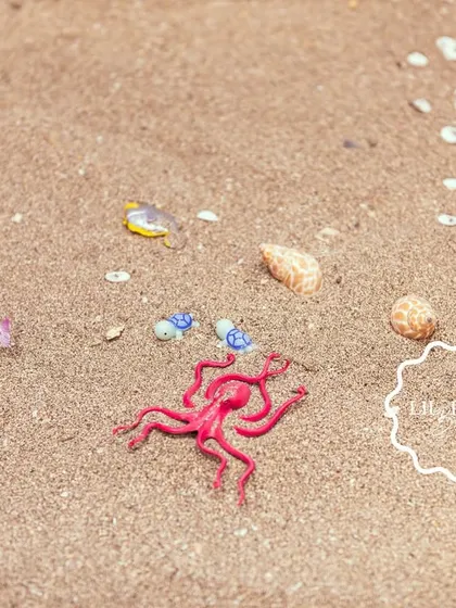 An octopus and other sea creatures scattered in the sand play area.