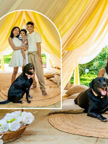 Pawparazzi By Prathima - Family & Pet Photography Kids & Their Furry Siblings photo 71