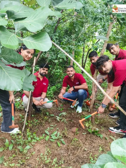 KPMG volunteers work together to de-weed an area at our Jaunapur site. Maintenance drives are just as important as plantation drives, as they ensure the survival and healthy growth of the saplings we've already planted.